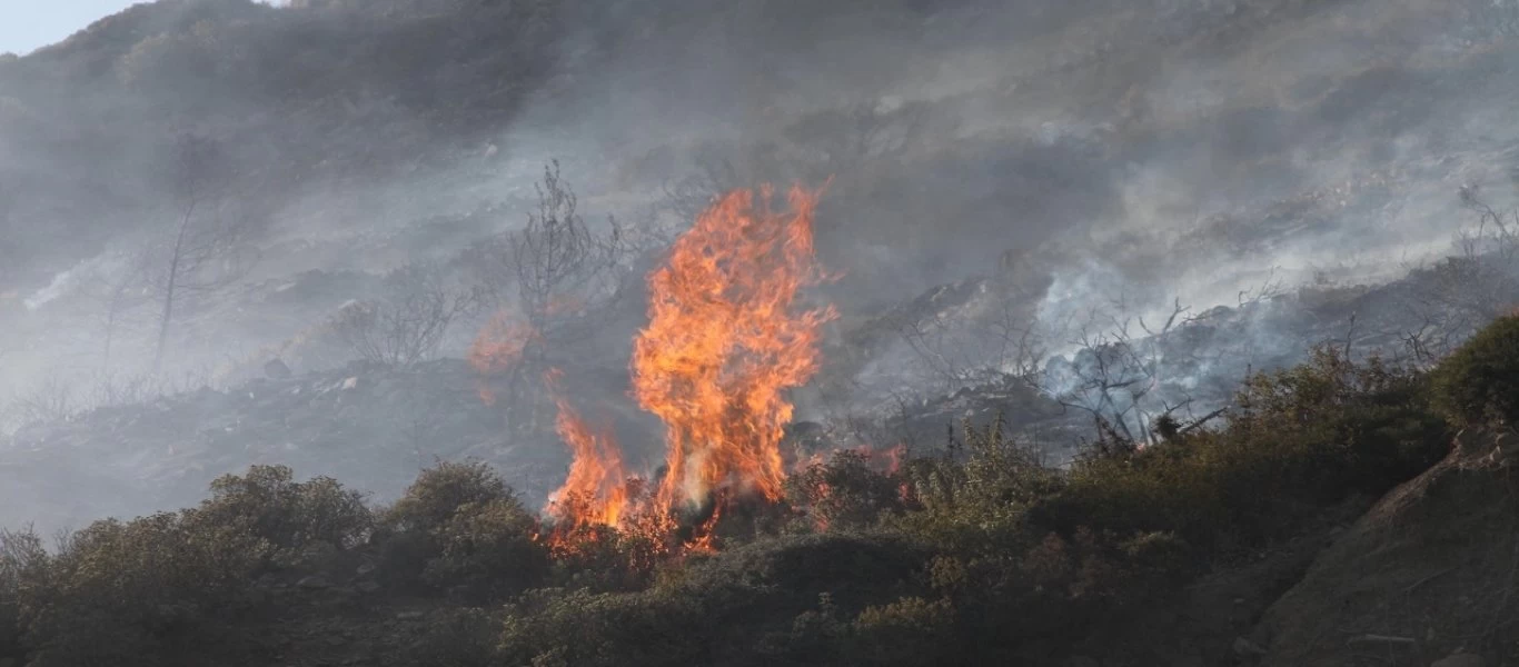 Πυροσβεστική: Στις 27 οι δασικές φωτιές το τελευταίο 24ωρο σε όλη την χώρα